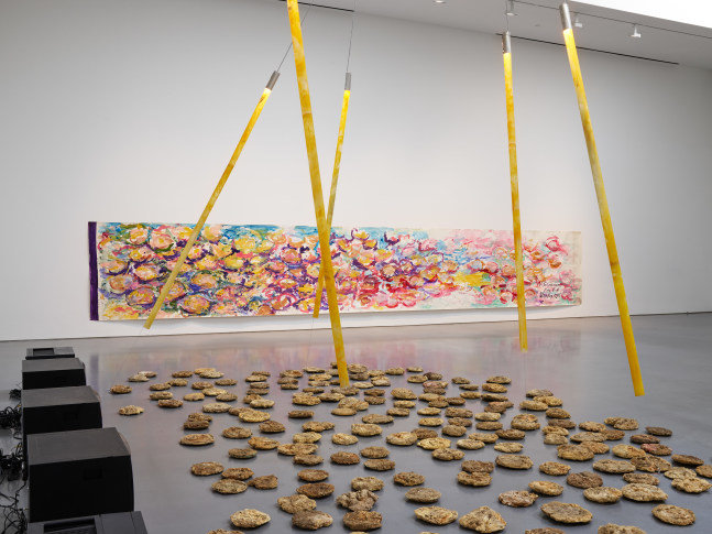 Carolee Schneemann (Installation View) Lisson Gallery, Los Angeles, CA, April 11 &amp;ndash; May 24, 2025