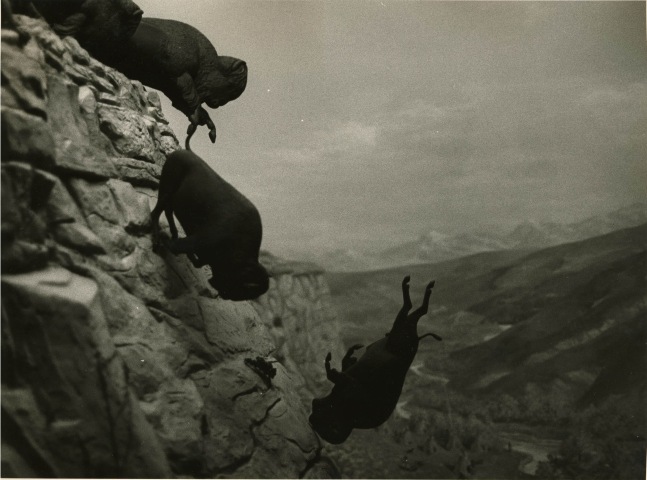 David Wojnarowicz, Untitled (Falling Buffalos), 1988-89