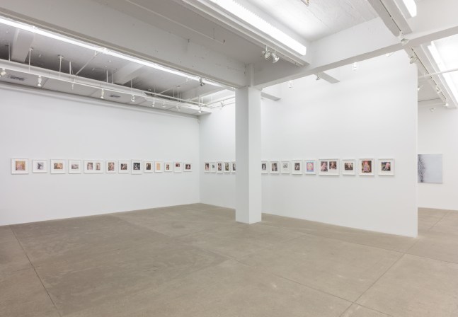 Betty Tompkins, Will She Ever Shut Up? install 4