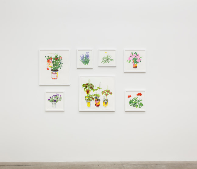 Bloomfield, install 2