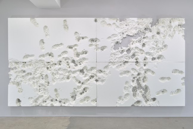 Joseph Nahmad Contemporary _ Rudolf Stingel _ 2000-2003