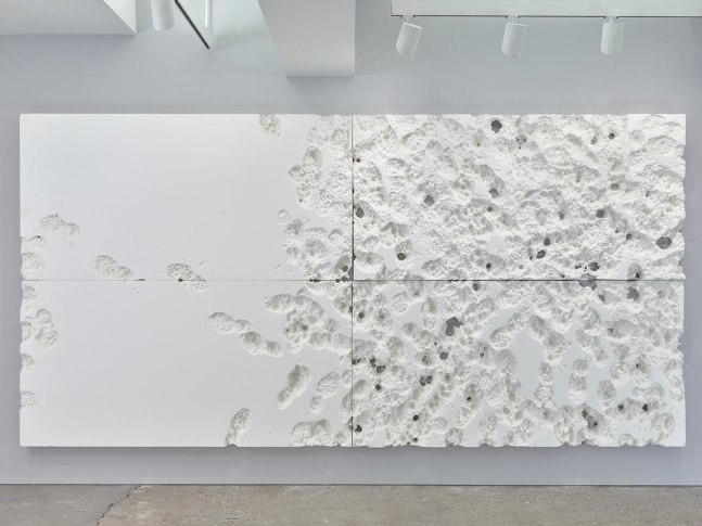 Joseph Nahmad Contemporary _ Rudolf Stingel _ 2000-2003