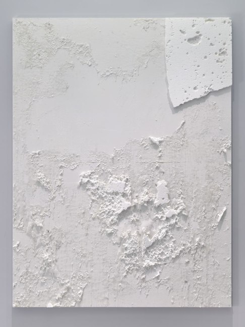 Joseph Nahmad Contemporary _ Rudolf Stingel _ 2000-2003