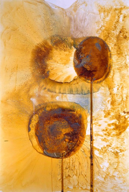 JOHN ARMLEDER
Agaricus Abruptibulbus,&amp;nbsp;2006
Mixed media on canvas
118 x 78.7 inches / 300 x 200 cm