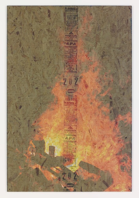 PETER SUTHERLAND
Bonfire 4,&amp;nbsp;2014
Inkjet on perforated vinyl adhered to OSB
72 x 48 inches / 182.8 x 121.9 cm