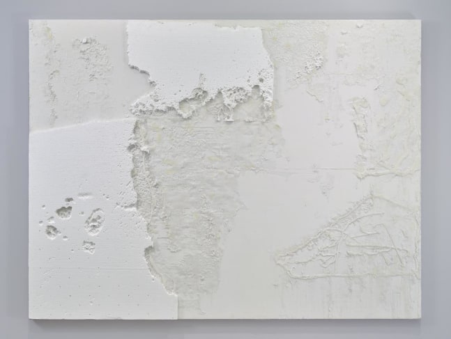 Joseph Nahmad Contemporary _ Rudolf Stingel _ 2000-2003