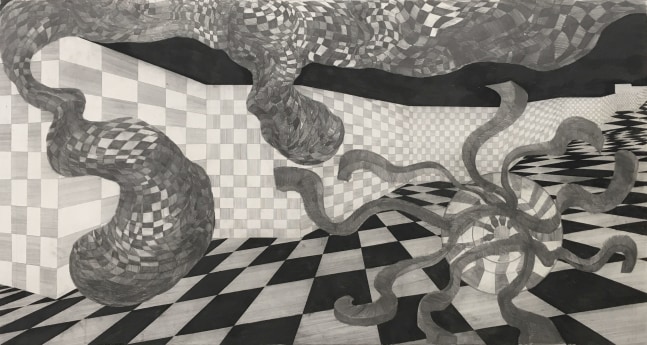 Untitled

2005

Graphite and litho crayon on paper

48 1/2 x 87 inches