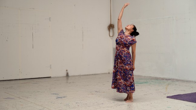 River Valley Arts Collective: Privet