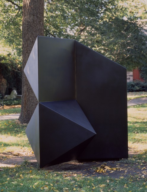 Welded bronze, black patina
6 ft. 8 in. x&amp;nbsp;6 ft. 8 in. x 4 ft. 9 in.&amp;nbsp;(203.2 &amp;times; 203.2 &amp;times; 144.8 cm), edition 2/6
The Newark Museum of Art, NJ