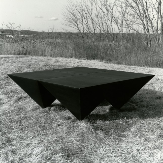For P.N.
Welded bronze, black patina
28 in. &amp;times; 6 ft. 8 in. &amp;times; 6 ft. 8 in. (71.1 &amp;times; 203.2 &amp;times; 203.2 cm), edition 2/6
Yale University Art Gallery
Dedication: Prithwish Neogy