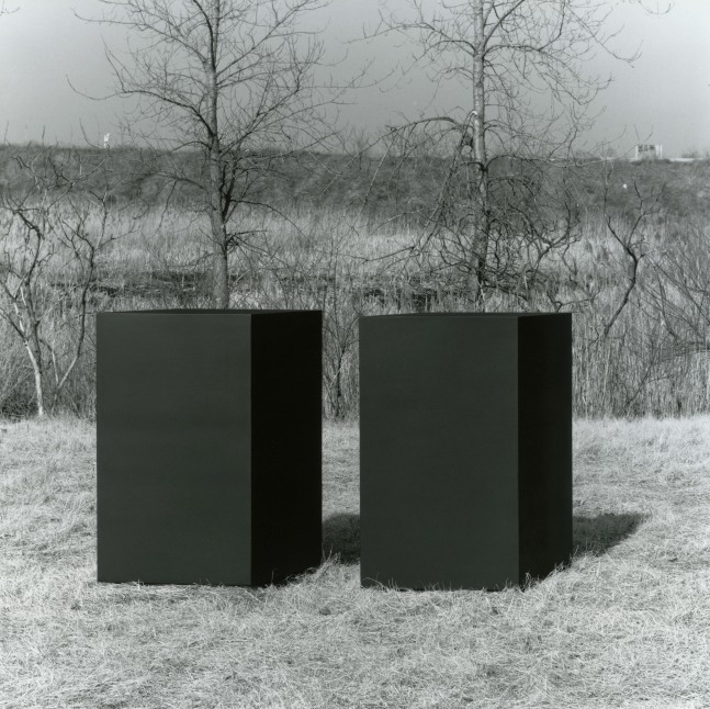 For W.A.
Welded bronze, black patina
2 units, overall: 5 ft. &amp;times; 11 ft. &amp;times; 33 in. (152.4 &amp;times; 335.3 &amp;times; 83.8 cm), edition 2/6
Private collection
Dedication: Webster Anderson
