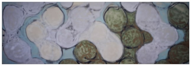 Untitled, 1956
Oil on canvas
5 ft. 10 in. &amp;times; 17 ft. 5 1/2 in. (177.8 &amp;times; 532.1 cm)