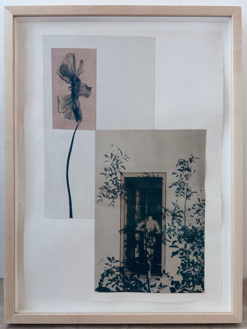 photo collage with a poppy flower and a woman entering a doorway
