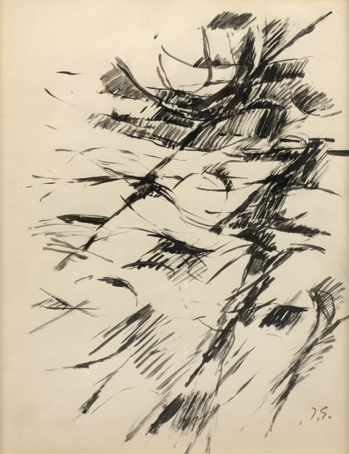 black and white drawing with lines that looks like the side of a tree