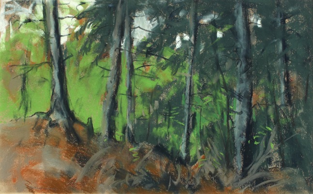 Edge of the Island Woods, Monhegan, 1918, pastel on paper, 11 1/2 x 19 1/4 inches