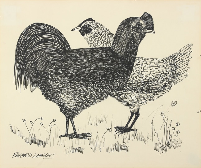 Rooster and Hen,&amp;nbsp;ca. 1970s, pen and ink on paper, 14 x 16 3/4 inches