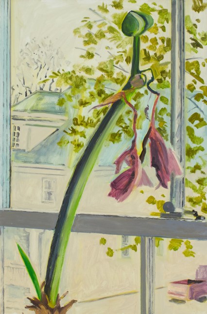 Seed Pod Amaryllis, 2010, oil on Masonite, 18 x 12 inches