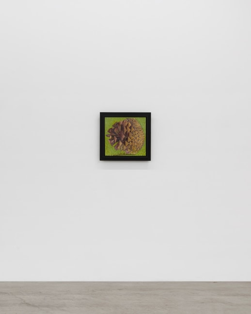 Lois Dodd | Ellen Siebers