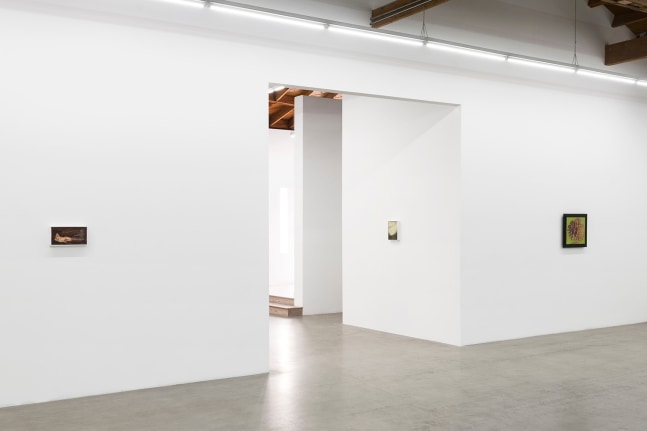 Lois Dodd | Ellen Siebers