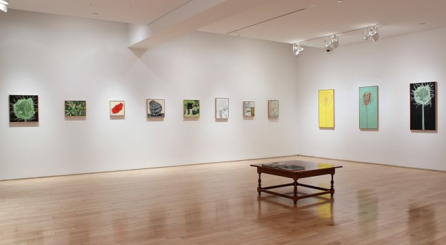 Photograph showing a corner view of an exhibition space, with eleven paintings hanging on white walls