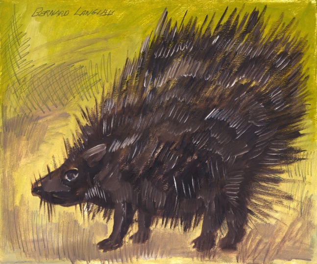 Painting on paper of a porcupine surrounded by yellow and green grass