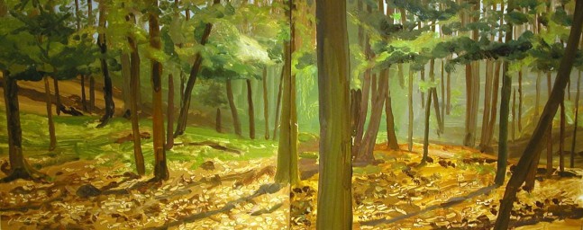 Sunlight and Woods, 2005, oil on Masonite, 13 x 32 inches