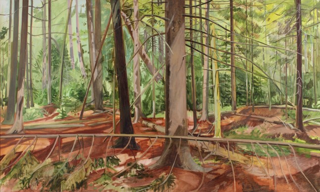Lois Dodd, Morning Woods, 1981, oil on linen, 36 x 60 inches