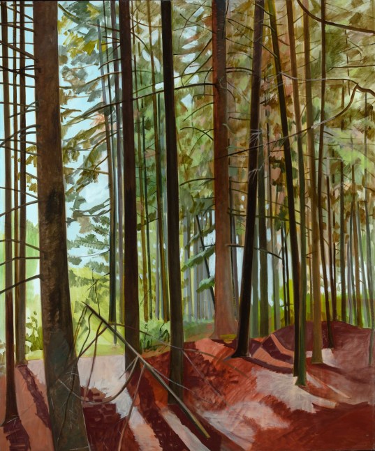 Large Morning Woods, 1978, oil on linen, 60 x 50 inches