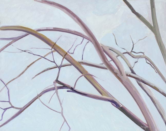 Lois Dodd, Elm Tree Branches and Sky, 2020, oil on Masonite, 16 3/4 x 20 inches
