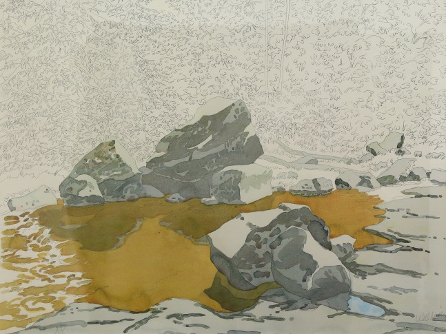 Partially-colored lithograph of cedar trees and stones reflected in a patch of amber-colored water