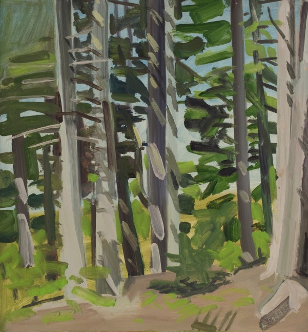 Landscape painting of evergreen trees in a forest