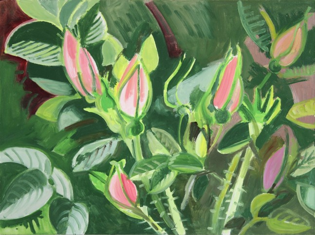 Painting of a group of pink flowers surrounded by leaves with a green background
