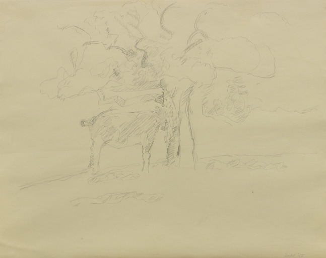 Graphite drawing of a cow under a tree in a landscape