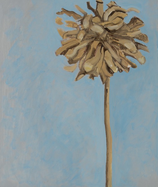 Dried Flower, 2023, oil on Masonite, 13 x 11 inches