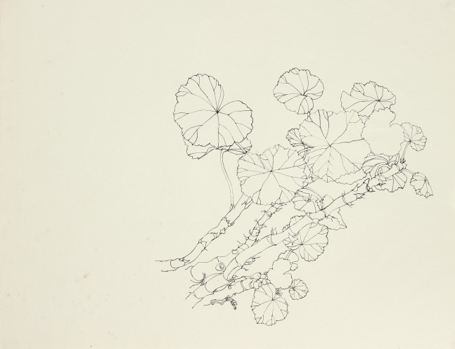 Untitled, ink on paper, 10 x 13 1/8 inches