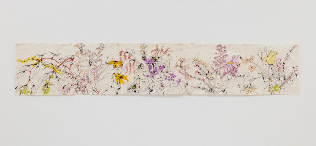 Drawings of various flowers in ink, with some portions colored in green, yellow, purple and orange