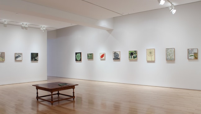 Photograph showing a corner view of an exhibition space, with eleven paintings hanging on white walls
