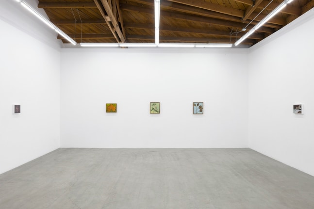 Lois Dodd | Ellen Siebers