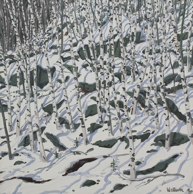 Landscape painting of a snowy bank covered in rocks and birch trees