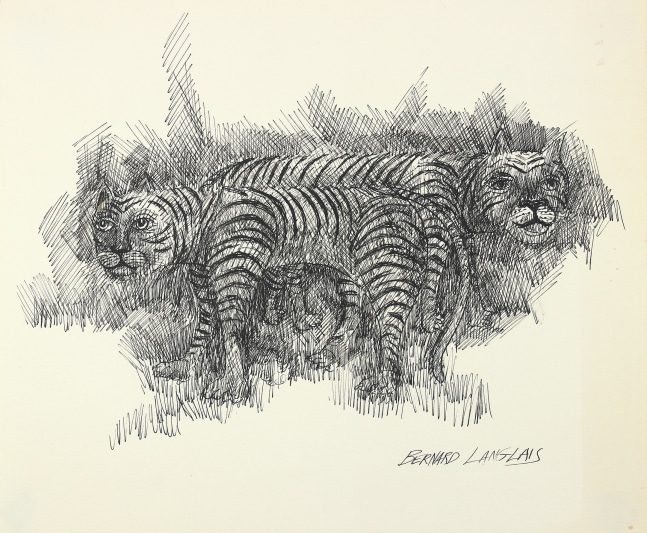 Drawing of two tigers standing in grass