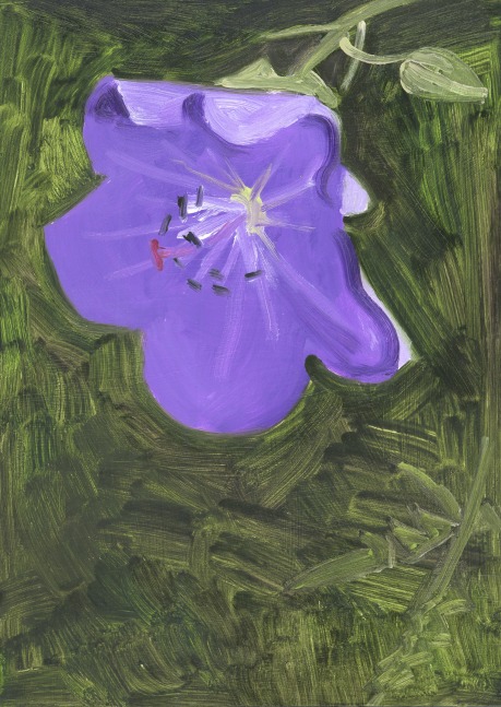 Painting of a purple flower against abstracted green grass