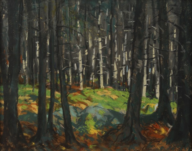 Robert Henri, Sunlight in the Woods, 1918, pastel on paper, 15 1/4 x 19 inches