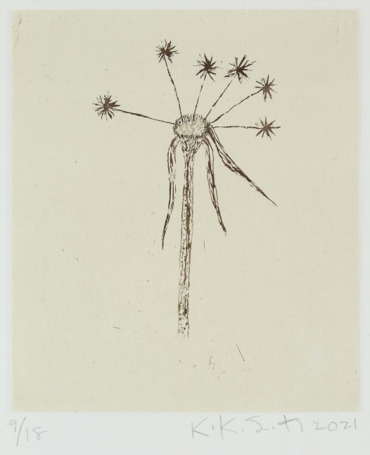 Black and white etching of a dandelion seed head with only five seeds remaining