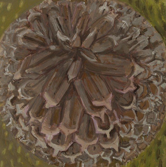 Pitch Pine Cone, 2023, oil on Masonite, 11 1/8 x 11 1/16 inches
