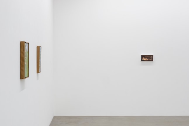 Lois Dodd | Ellen Siebers