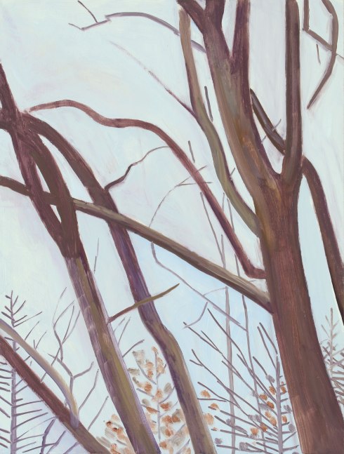 Lois Dodd, Elm Tree in December, 2020, oil on Masonite, 16 x 12 inches