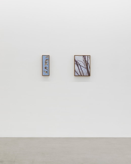 Lois Dodd | Ellen Siebers