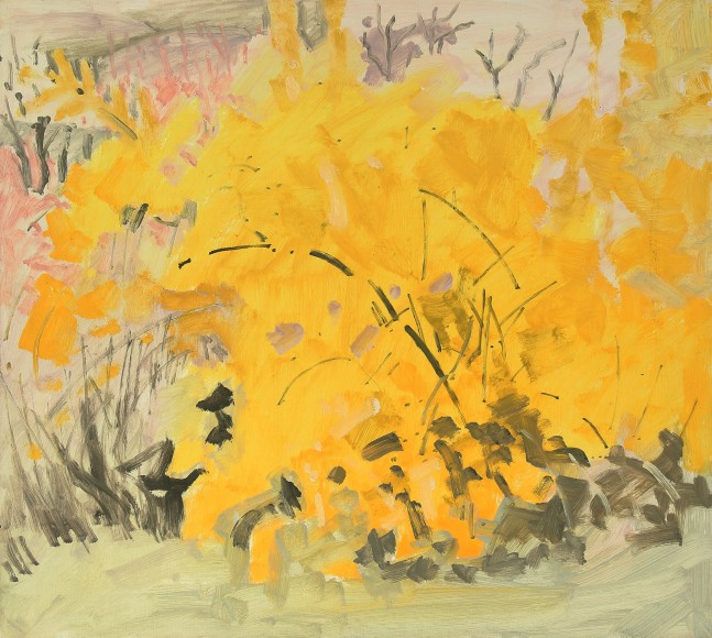 Lois Dodd, Forsythia, April, 1976, oil on Masonite, 16 x 17 3/4 inches