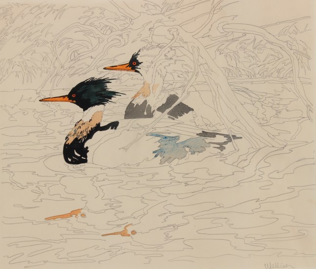 Partially colored-in drawing of two ducks floating in a body of water with a log on a bank behind them