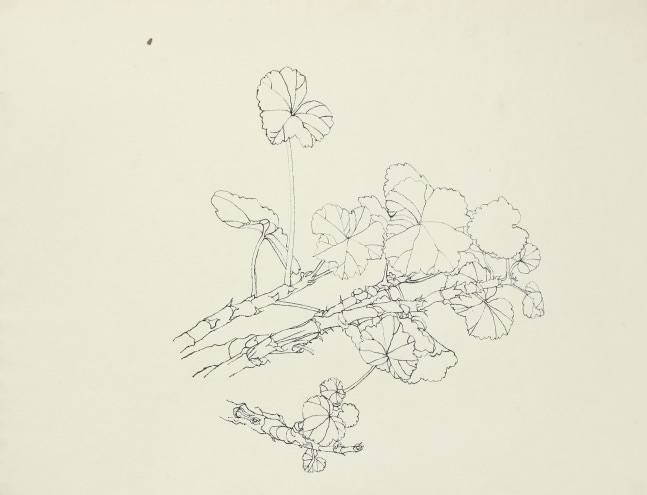 Untitled, ink on paper, 10 x 13 inches